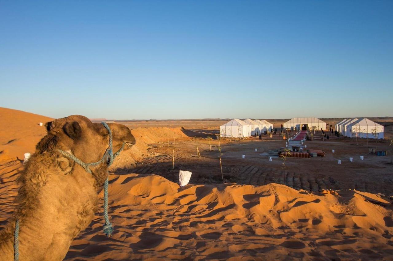 Sahara Majestic Luxury Camp Hotell Merzouga Exteriör bild Sahara Desert